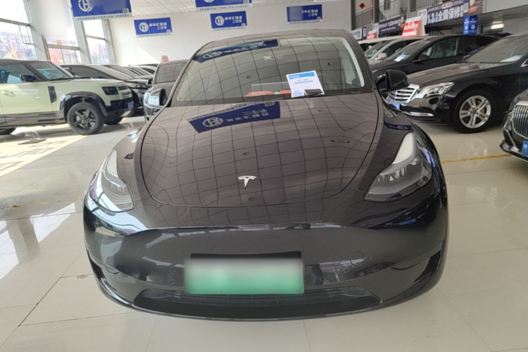 Tesla Model Y 2023 #3 Tesla Model Y 2023 car image #3