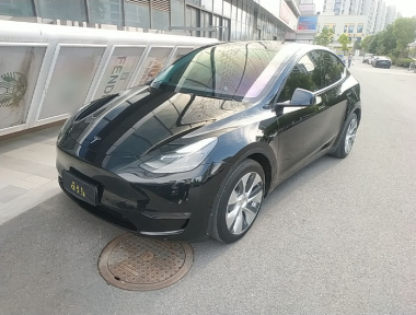 Tesla Model Y 2021 car image 