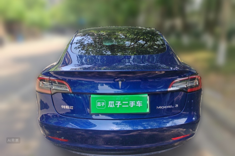 Tesla Model 3 2020 car image #6