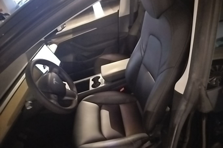 Tesla Model 3 2021 car image #15