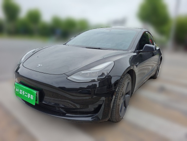 Tesla Model 3 2022 Tesla Model 3 2022 car image