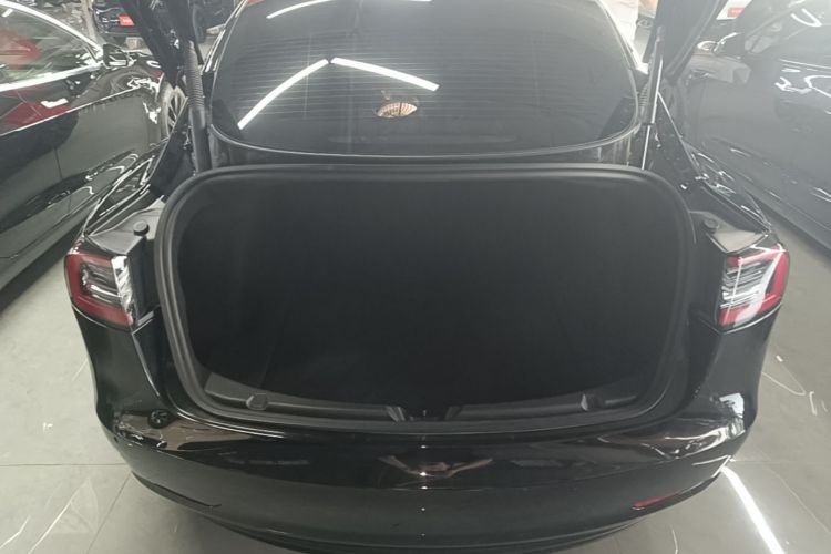 Tesla Model 3 2021 #19 Tesla Model 3 2021 car image #19
