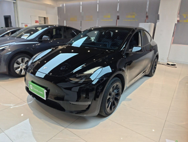 Tesla Model Y 2022 car image 