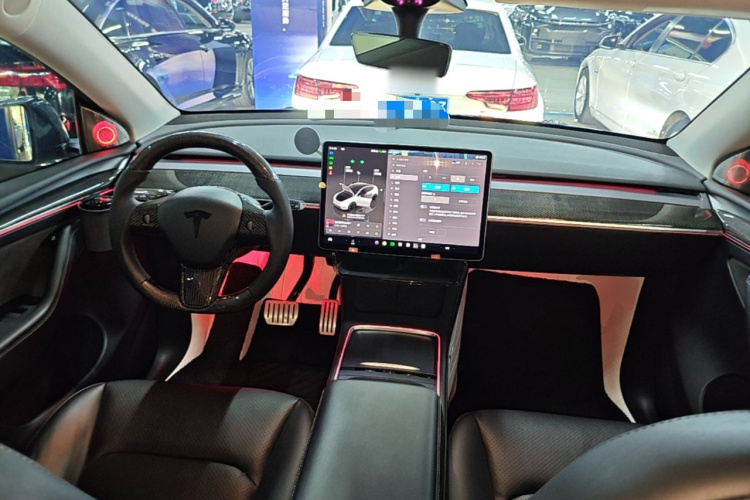 Tesla Model Y 2021 car image #10