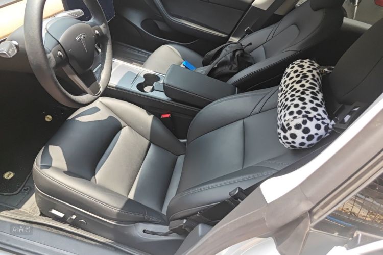 Tesla Model 3 2022 car image #17