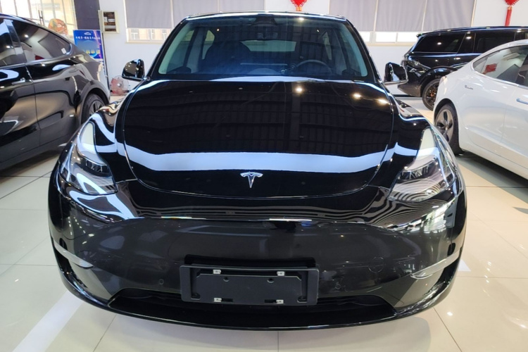 Tesla Model Y 2021 car image #3