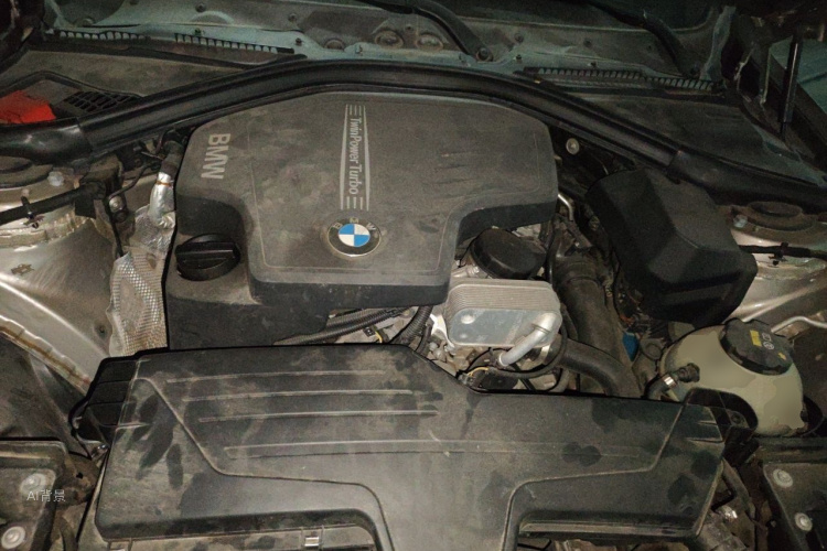 BMW 3 Series 2016 car image #22