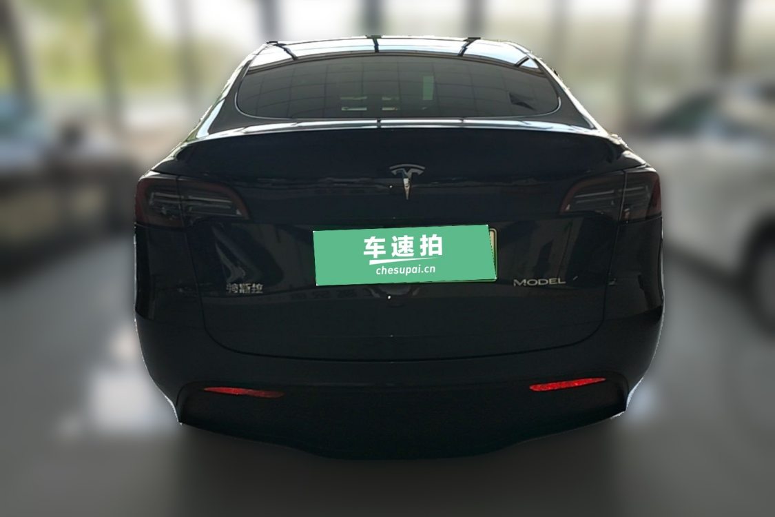 Tesla Model Y 2024 #6 Tesla Model Y 2024 car image #6
