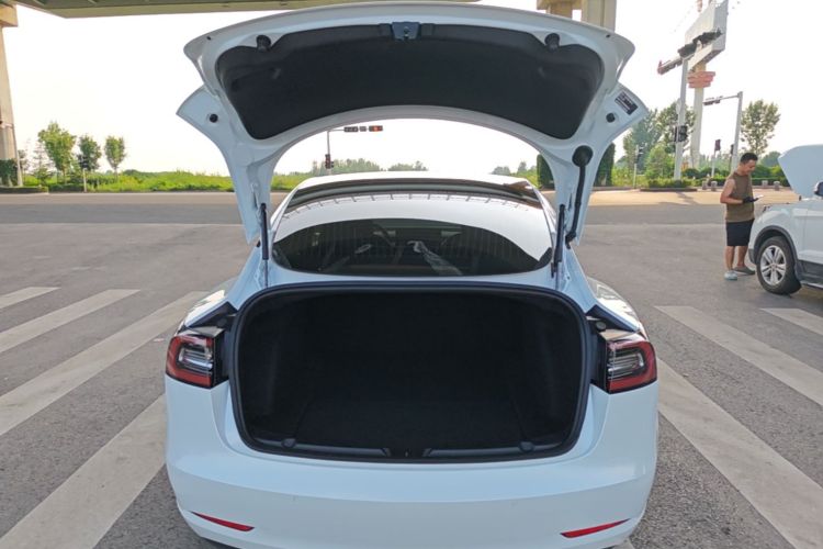 Tesla Model 3 2020 #19 Tesla Model 3 2020 car image #19
