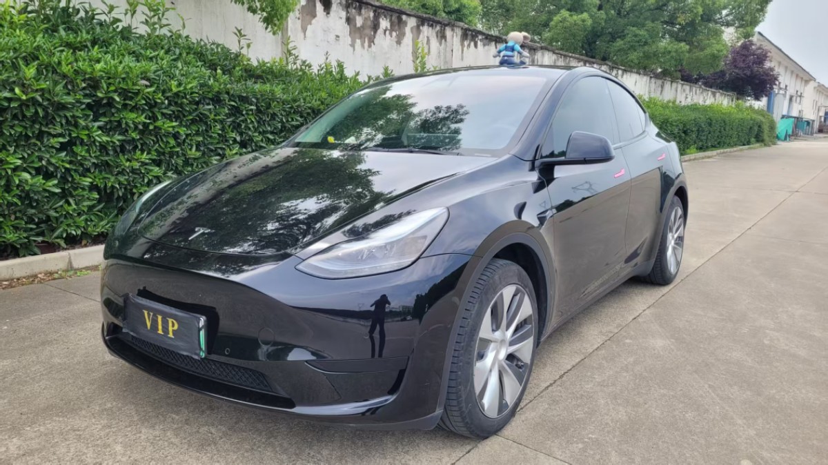 Tesla Model Y 2022 Tesla Model Y 2022 car image