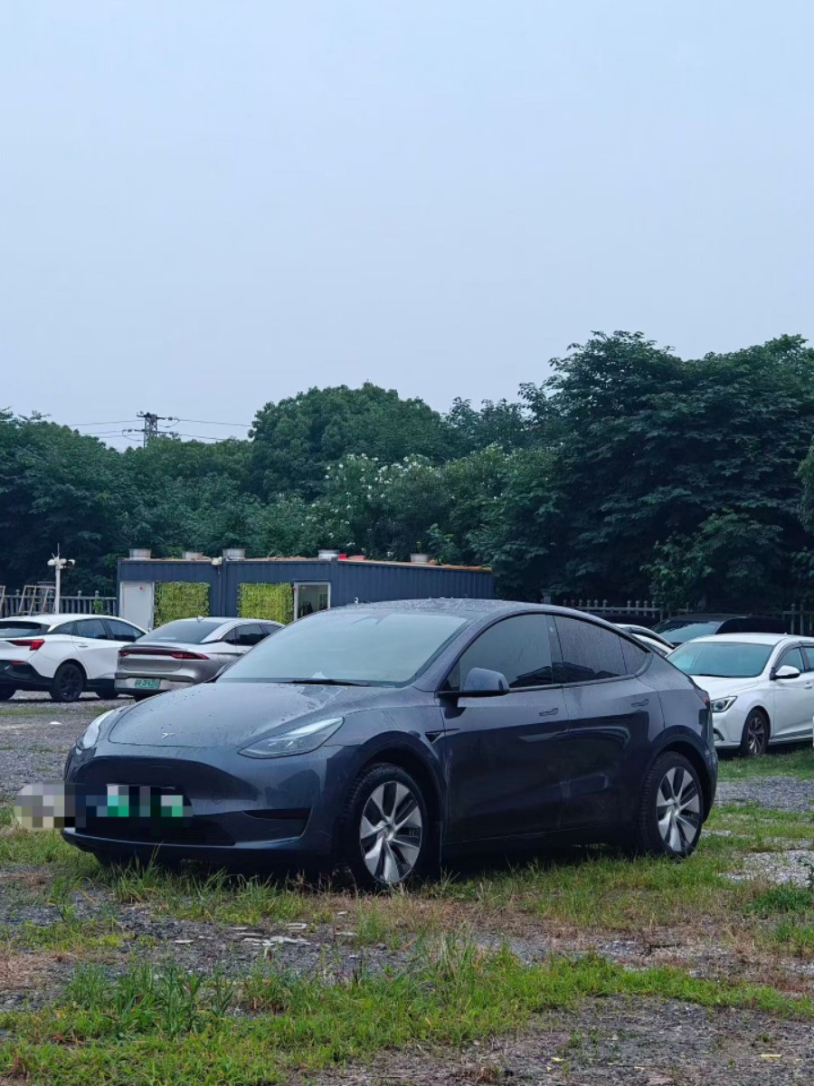 Tesla Model Y 2022 car image 