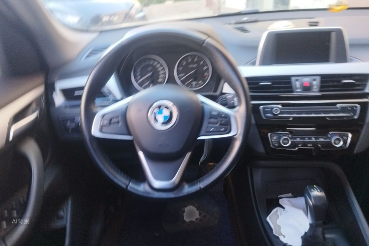 BMW X1 2017 car image #12