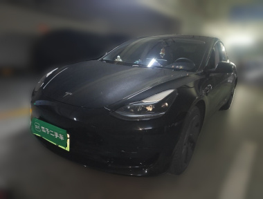 Tesla Model 3 2023 Tesla Model 3 2023 car image