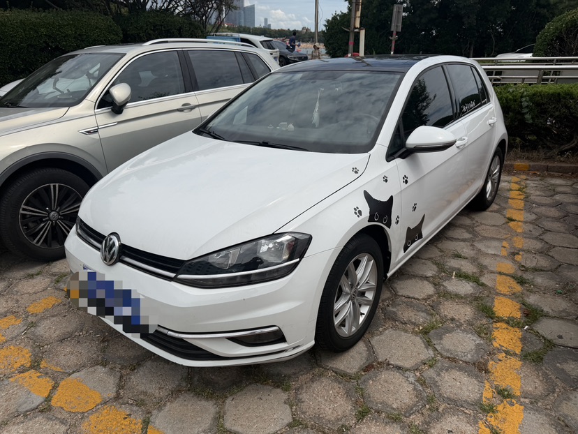 Volkswagen Golf 2019 car image 