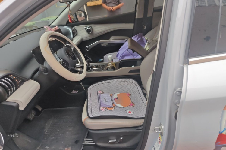 BYD Yuan Plus 2024 car image #17