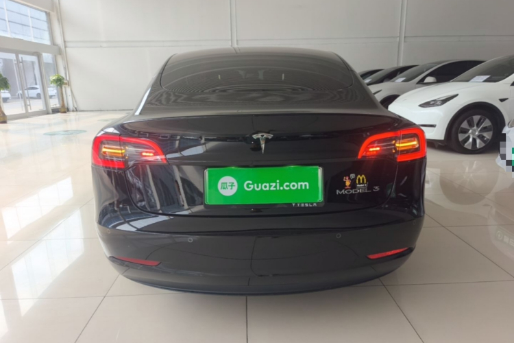 Tesla Model 3 2021 car image #6
