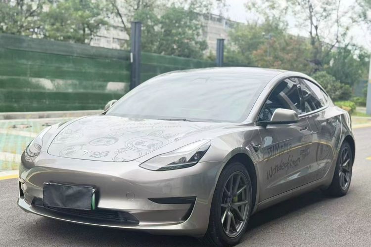 Tesla Model 3 2021 #2 Tesla Model 3 2021 imagen de coche #2