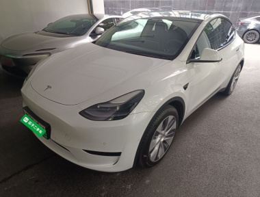 Tesla Model Y 2022 Tesla Model Y 2022 car image