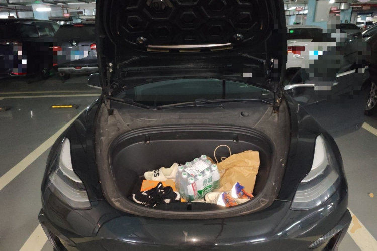Tesla Model 3 2020 car image #22