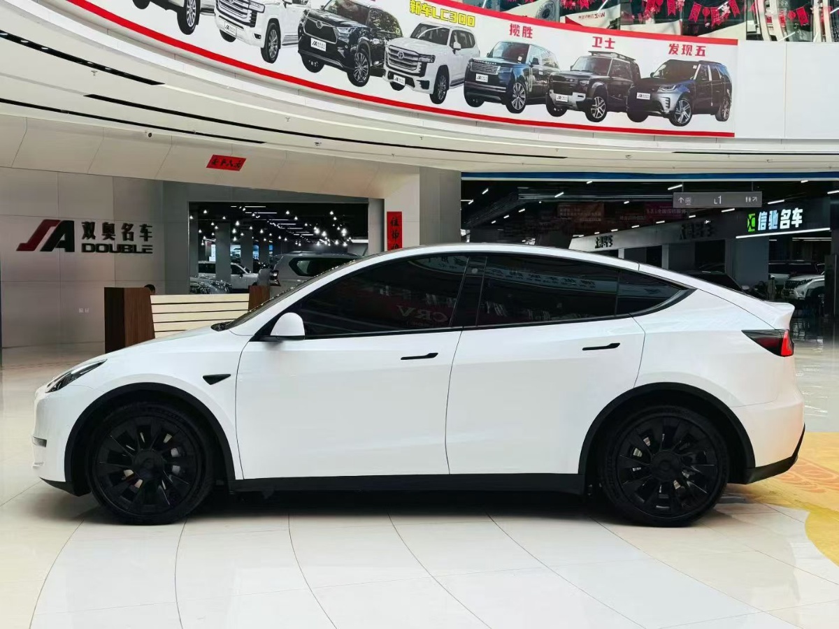 Tesla Model Y 2022 #7 Tesla Model Y 2022 car image #7