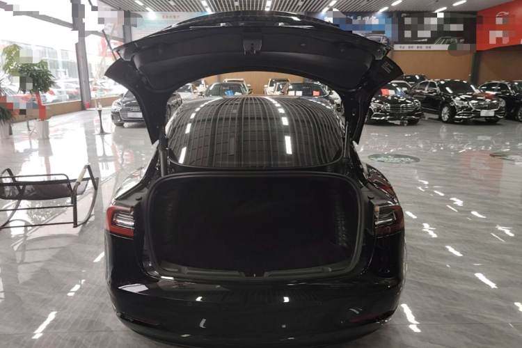 Tesla Model 3 2022 #19 Tesla Model 3 2022 immagine di auto #19