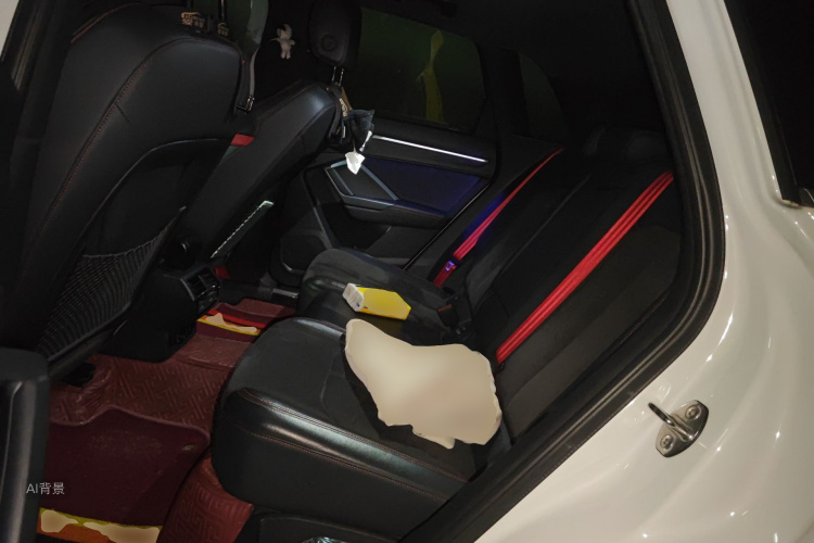 Audi Q3 2020 car image #19