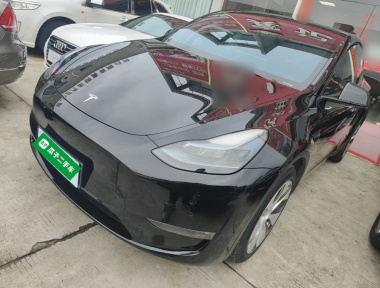 Tesla Model Y 2022 Tesla Model Y 2022 car image
