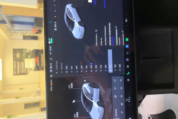 Tesla Model 3 2024 immagine di auto #9