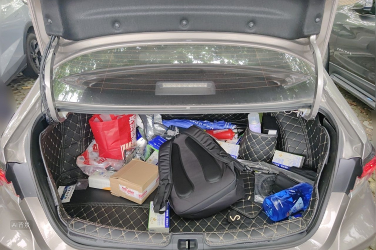Toyota Corolla 2019 car image #21