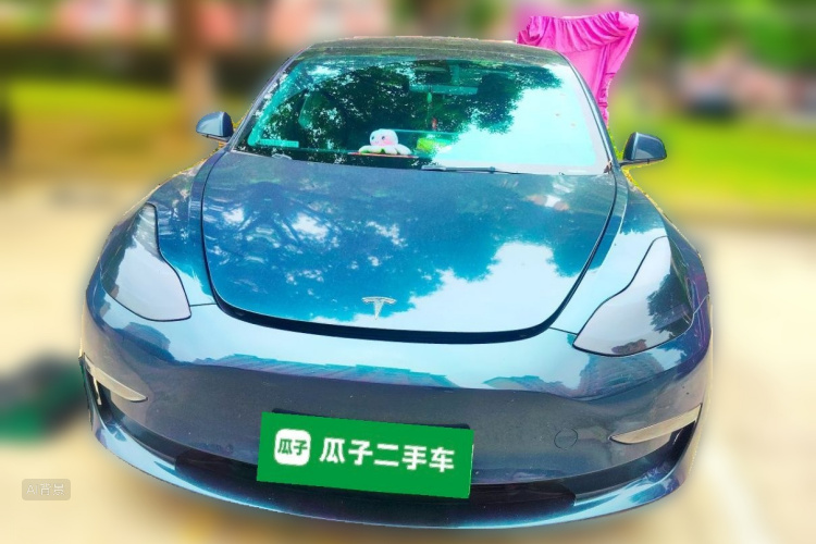 Tesla Model 3 2022 car image #3