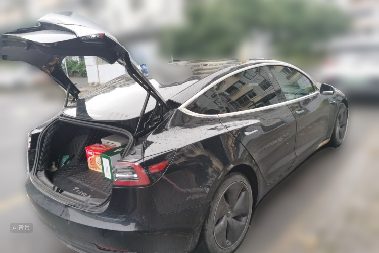 Tesla Model 3 2020 car image #7