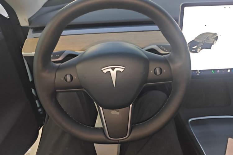 Tesla Model Y 2021 #15 Tesla Model Y 2021 car image #15
