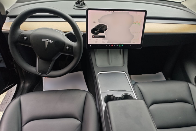 Tesla Model Y 2021 #10 Tesla Model Y 2021 car image #10