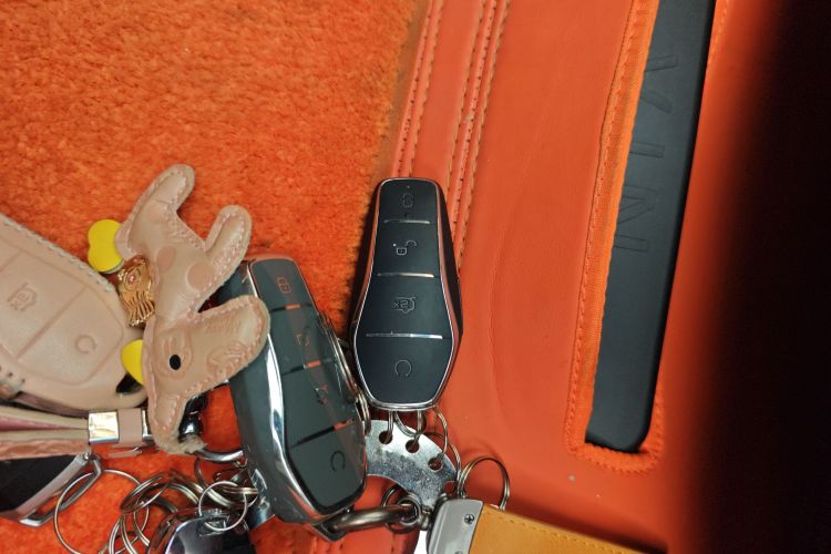 BYD Han 2024 imagen de coche #14