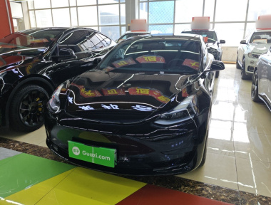 Tesla Model 3 2023 Tesla Model 3 2023 car image