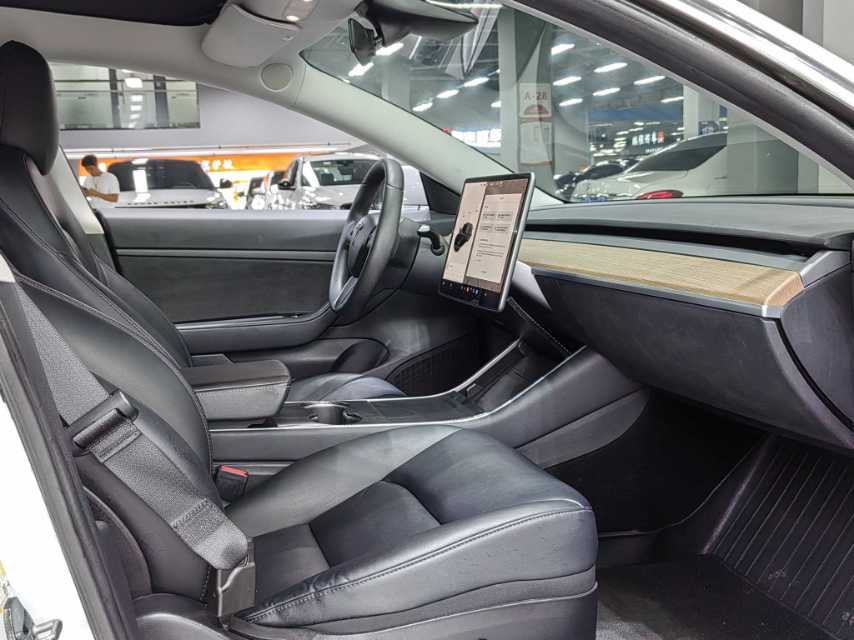 Tesla Model 3 (Imported) 2020 car image #9