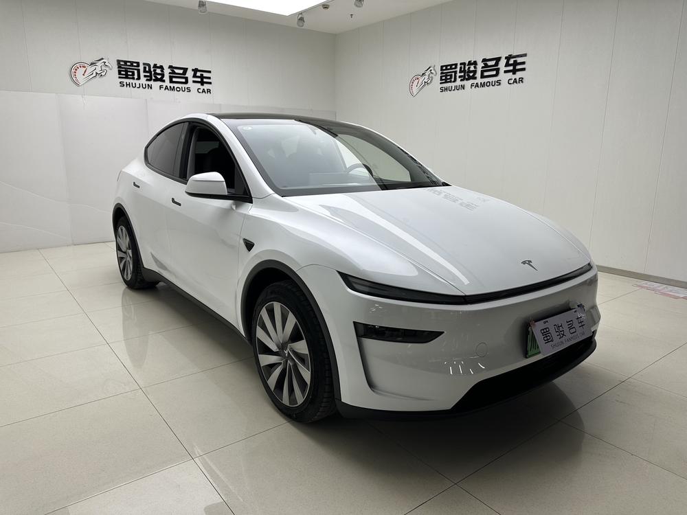 Tesla Model Y 2025 #3 Tesla Model Y 2025 car image #3