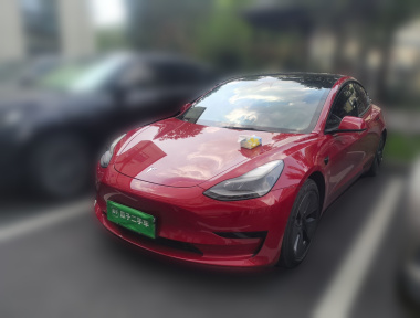 Tesla Model 3 2021 Tesla Model 3 2021 car image