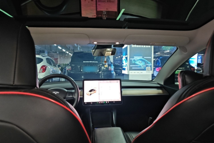 Tesla Model 3 2020 car image #18
