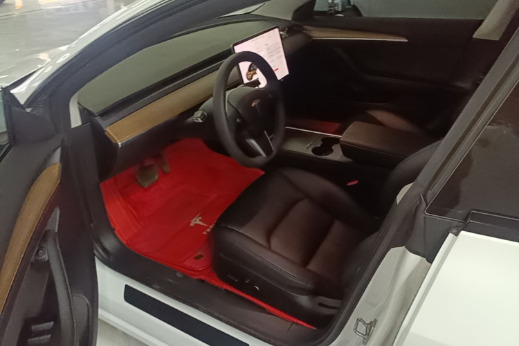 Tesla Model 3 2021 immagine di auto #16
