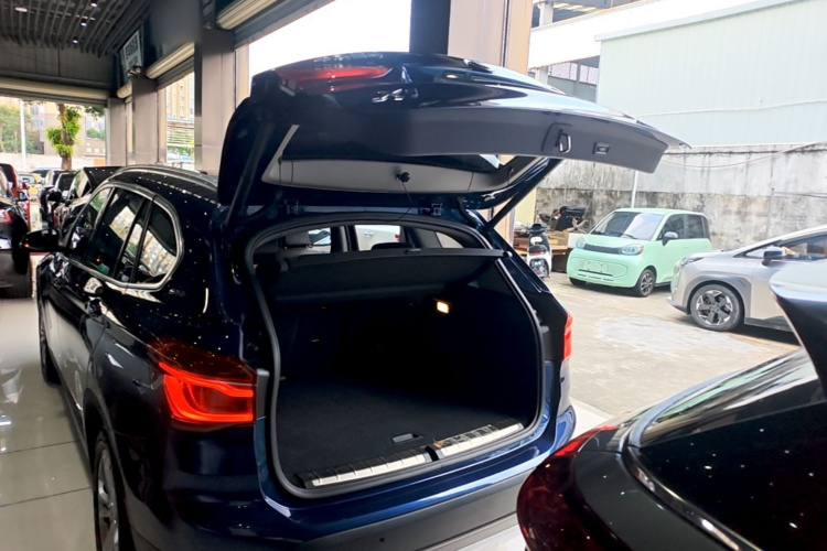 BMW X1 New Energy 2019 car image #19