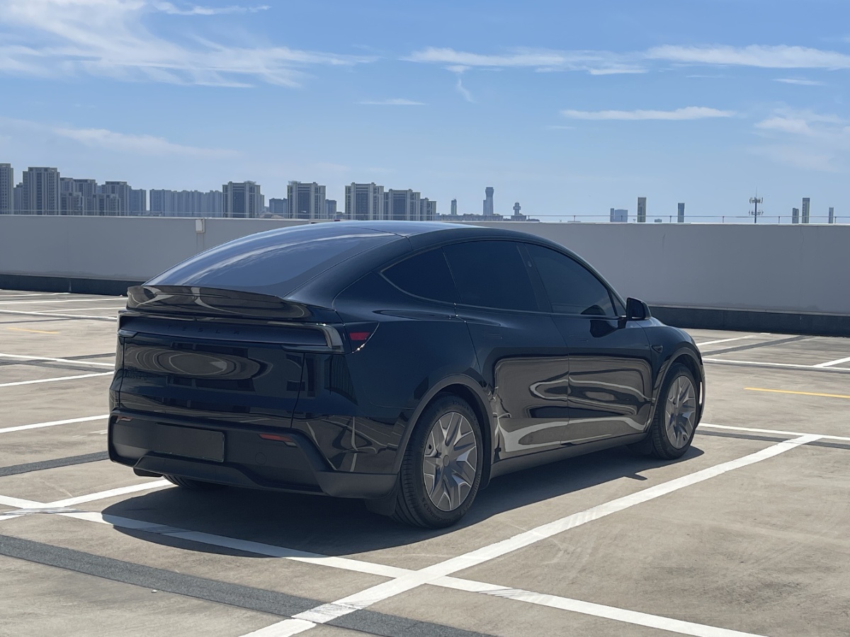 Tesla Model Y L 2025 car image #7