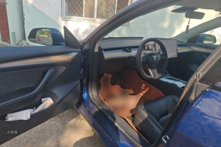 Tesla Model 3 2021 #18 Tesla Model 3 2021 car image #18
