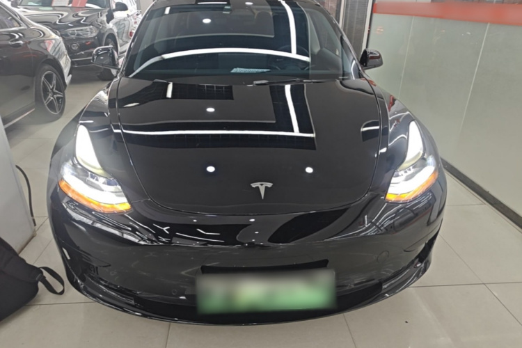 Tesla Model 3 2021 #3 Tesla Model 3 2021 car image #3
