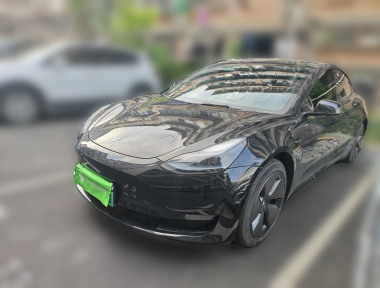 Tesla Model 3 2023 car image 
