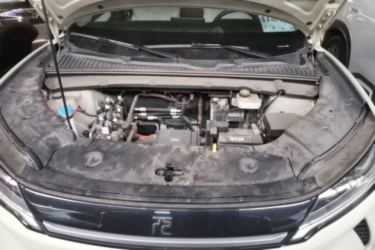 BYD YuanUP 2024 immagine di auto #22