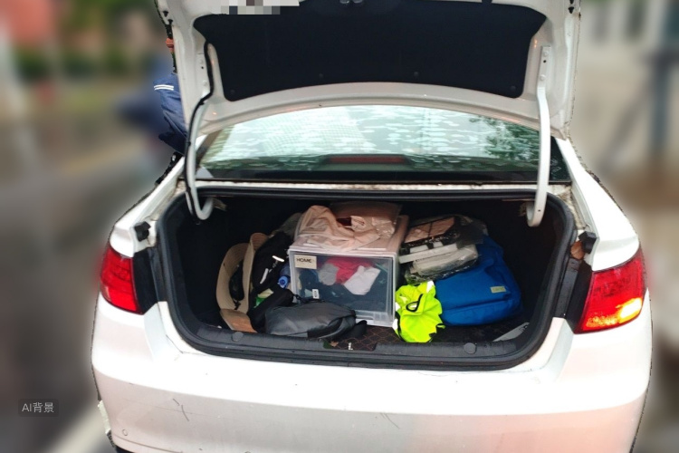 GEELY Emgrand GL 2020 car image #21
