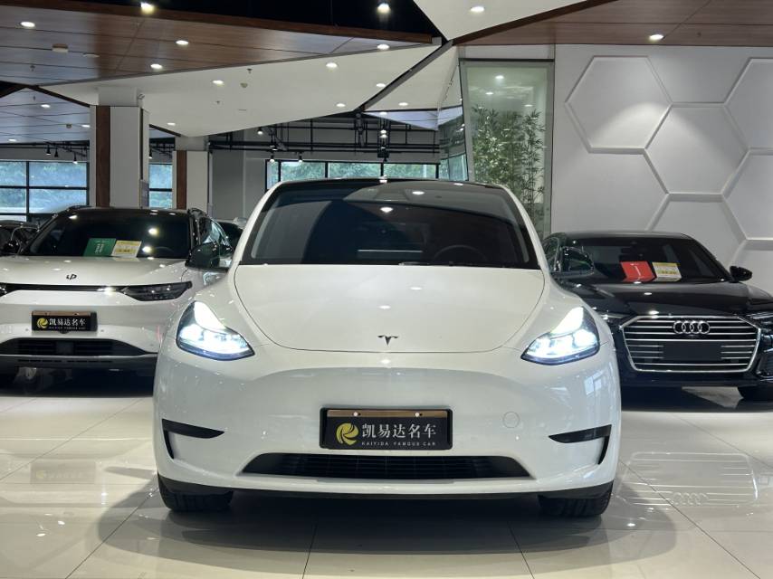 Tesla Model Y 2022 #2 Tesla Model Y 2022 car image #2