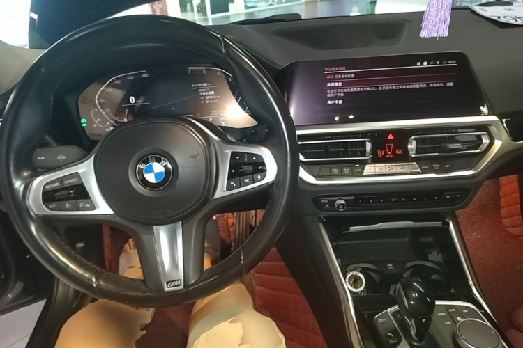 BMW 3 Series 2021 car image #10