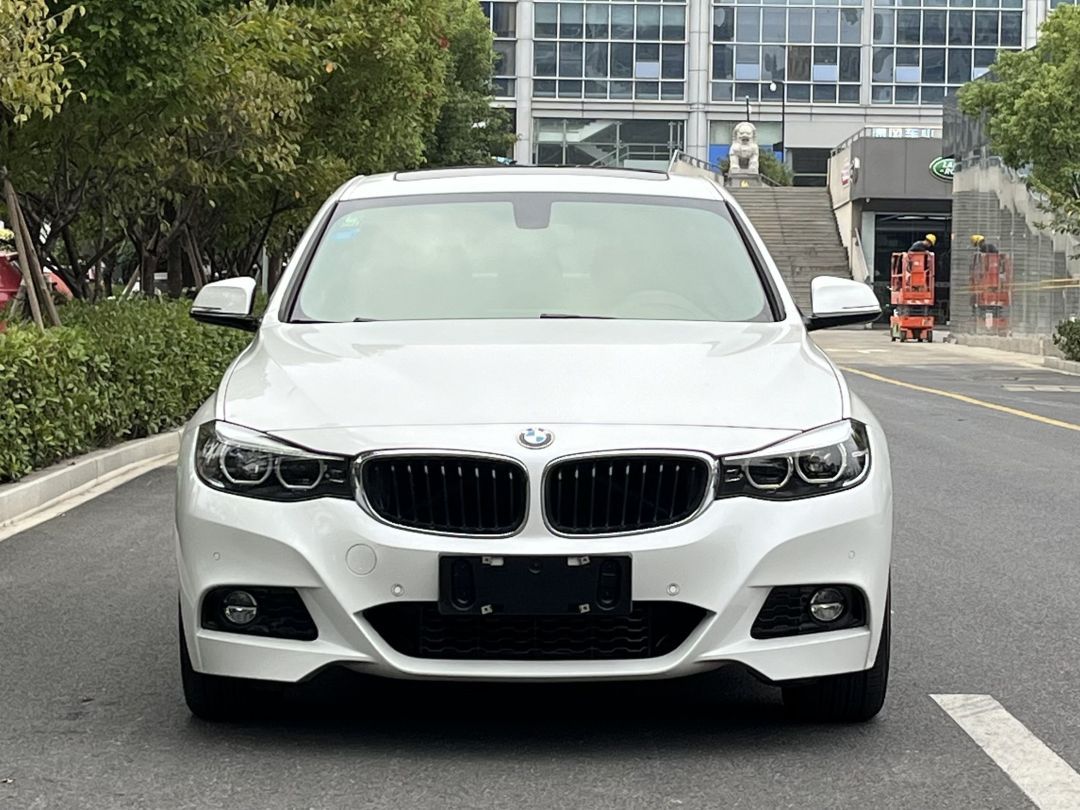 BMW 3 Series GT 2019 #5 BMW 3 Series GT 2019 car image #5